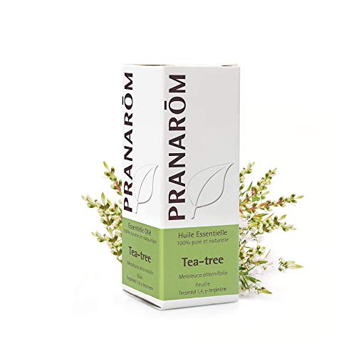 Óleo Essencial PRANARÔM Tea Tree (10 ml de óleo essencial) Pranarôm - Óleo fragrante - óleo essencial, tea tree, 10 ml, anti-inflamatório, antibacteriano