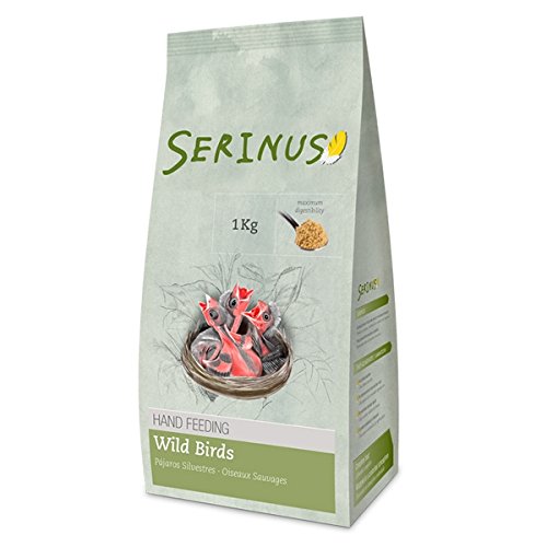 Comida para Passáros de Frutas e Nozes 1Kg Tg8 Psittacus - Ração para cães - frutas, nozes, 1kg