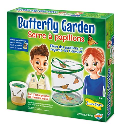 Brinquedo educativo JBM TOYS Elevador de Mariposas (3 anos) BUKI FRANCE - Kits de coleta de insetos - educativo, ciclo de vida, borboletas, mini-elevador