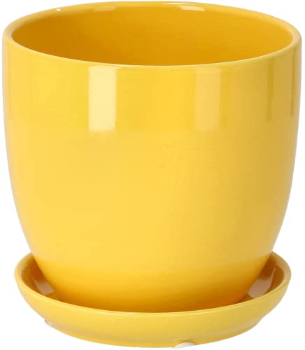 Vaso KOTARBAU com Prato Amarelo (Cerâmica - 20 x 20 cm) KOTARBAU - Móveis de exterior - cerâmica, 20 x 20 cm, prato amarelo