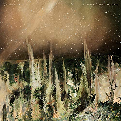 Livro Forever Turned Around de R. M. Meluch (Inglês) SECRETLY CANADIA - Música e gravações de som - livro, forever turned around, r m meluch, inglês