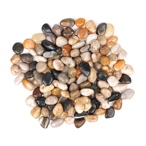 Winter Shore 2,25 kg Rocas de Rio para Plantas Winter Shore - Areia e substratos para aquário - 2,25 kg, rocas de rio, decorativas, 170 peças