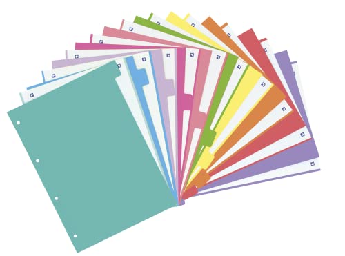 Separador de Arquivo OXFORD A4 (Multicor) Oxford - Separadores de índice - multicor, 10 posições, cartulina, personalizável