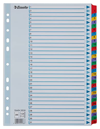 Pasta Organizadora ESSELTE Multicor (A4 - 21.5x29.7cm) Esselte - Separadores de índice - multicor, a4, 21.5x29.7cm