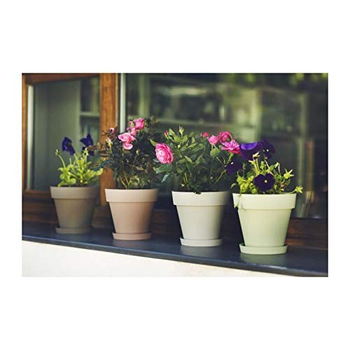 Vaso PROSPERPLAST Plastiken (Branco - 18.0 x 18.0 x 15.0 cm) S/MARCA - Móveis de exterior - plástico, branco, decorativo, interior