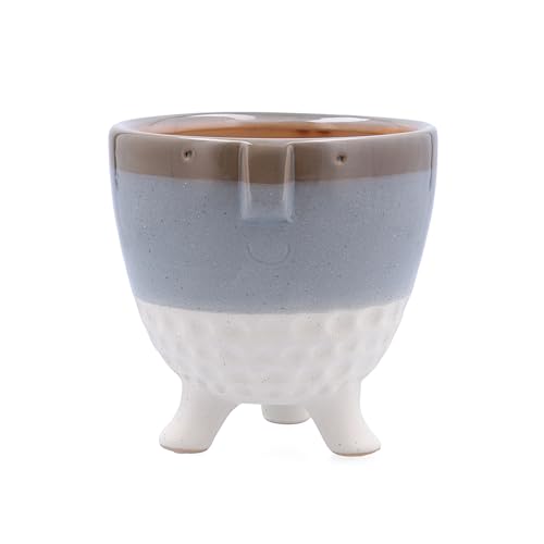 Vaso para Plantas VINTHERA MOA (Cerâmica - Transparente) VINTHERA - Vasos e canteiros - cerâmica, transparente, 16x16x9 cm