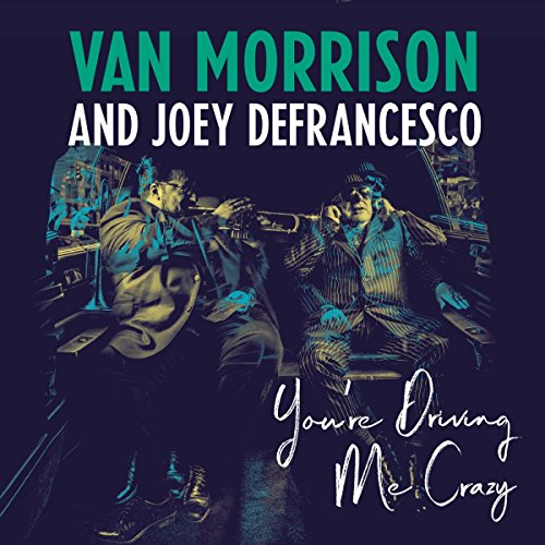 Vinil LP You're Driving Me Crazy - Various Artists LEGACY RECORDINGS - Música e gravações de som - vinil, LP, youre driving me crazy, various artists