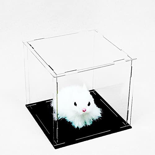 Caixa de Exposição 3D Acrílico Transparente com Base Preto CCEA - Mobiliário de escritório - acrilico, transparente, 38x38x38cm, 15kg
