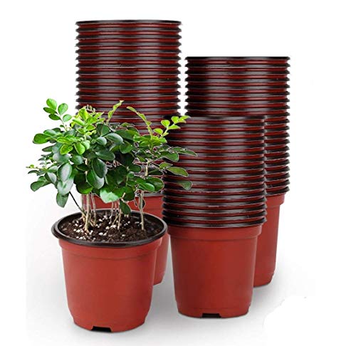 Vaso PLASTIC GARDEN 50 Unidades (Branco - 15x13cm) LATERN - Vasos e canteiros - plástico, 50 unidades, laváveis, reutilizáveis