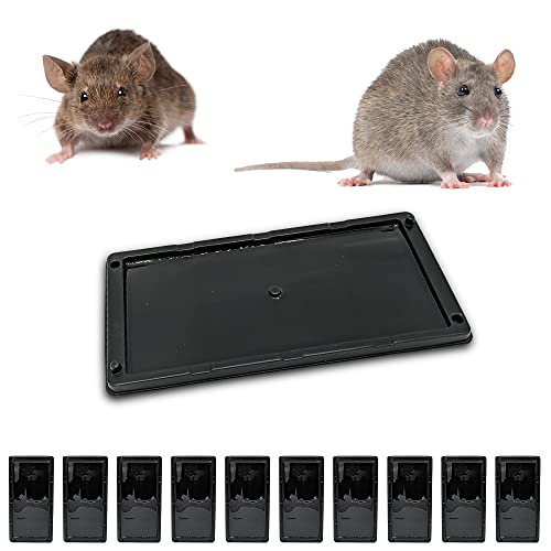 Repulseo 10 placa adesiva para rato e rata Repulseo - Armadilhas de controle de pragas - placa adesiva, rato, rata