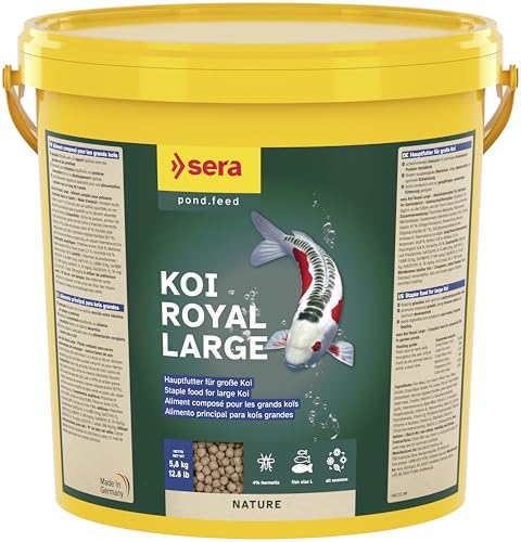Alimentação para Peixes SERA Royal Large (6 mm) SERA - Ração para cães - 6 mm, peixes, alimentação