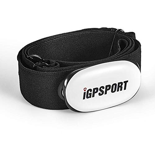 Pulseira Desportiva IGPSPORT Hr35 (Bluetooth - Até 8 dias de autonomia - Preto) IGPSPORT - Monitores de atividade - bluetooth, 8 dias, preto
