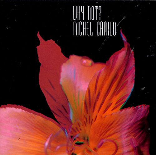 CD Why Not? - Why Not? (1 CDs) (Música) GHOST NOTE RECOR - Cds de música - cd, why not, música