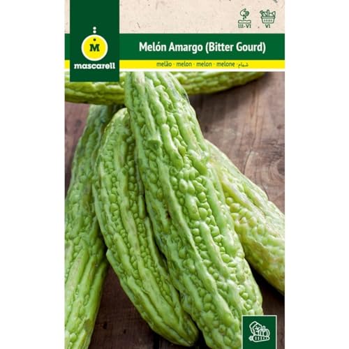 Sementes de Melão Amargo Exóticas 2G Mascarell Mascarell Semillas, S.L. - Sementes - melão amargo, exótico, 90 dias, verão
