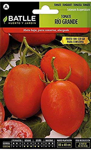 Sementes BATLLE Rio Grande (Tomates - 1.5 g) BATLLE - Lâmpadas de plantas e flores - tomate, 1.5 g