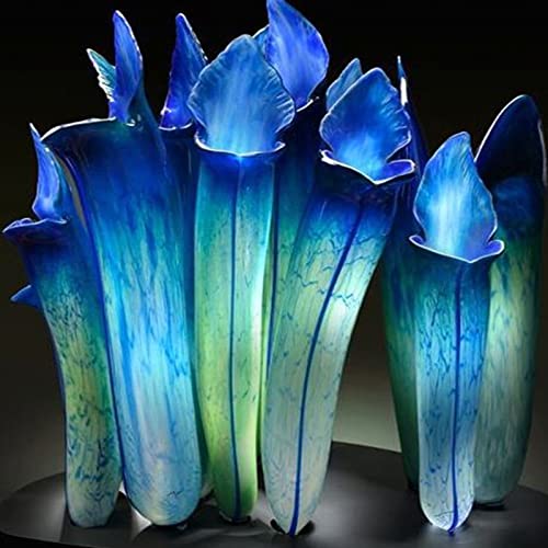 Sementes de Plantas de Jarro Luojuny 100 Peças Luojuny - Lâmpadas de plantas e flores - sementes, plantas, jarro, luojuny, 100 peças