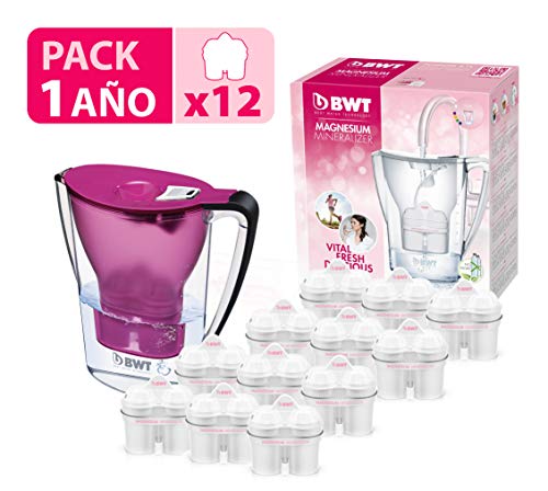 Filtro de água BWT Penguin (Acessórios de cozinha) BWT - Jarras e garrafas para servir - vidro, plástico, 27L, 1,5L, compatível