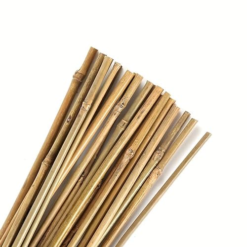 Tutor de bambu ecológico 150cm Control Garden Pack 30 unidades Control Garden - Móveis de exterior - bambu, ecológico, 150 cm