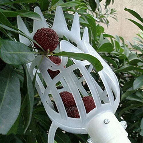 Recolhedor de Frutas Topbestor | Plástico - Bege TOPBESTOR - Flores artificiais - plástico, bege, recolhedor de frutas
