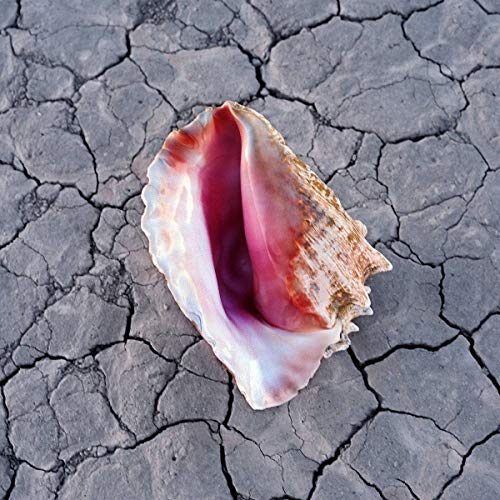 CD The Killers - Wonderful Wonderful (Deluxe Edition) ISLAND - Cds de música - killers, wonderful wonderful, deluxe edition