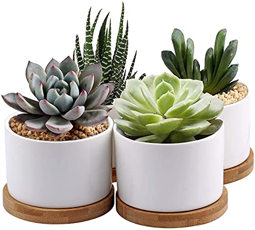 Vaso para Plantas 7WUNDERBAR 4ZWP-F | Branco 7WUNDERBAR - Vasos e canteiros - branco, pequeno, prático, versátil