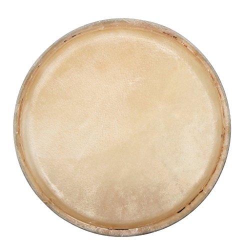 Percussão CONGA CLUB SALSA (Recondicionado Como Novo) PURE GEWA - Peles de tambor - conga, salsa, recondicionado