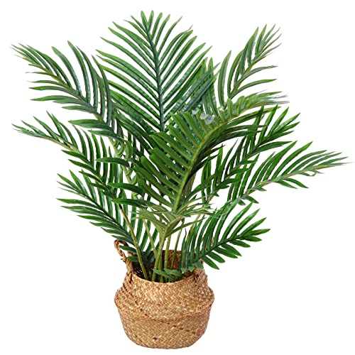 Planta artificial KA ZEILA (Verde - 60 cm) Kazeila - Casa e jardim - verde, 60 cm