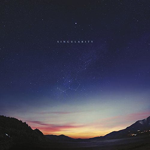 Vinil SINGULARITY Double - 2LP Vinyl Edition Domino - Música e gravações de som - vinil, singularidade, double, 2LP