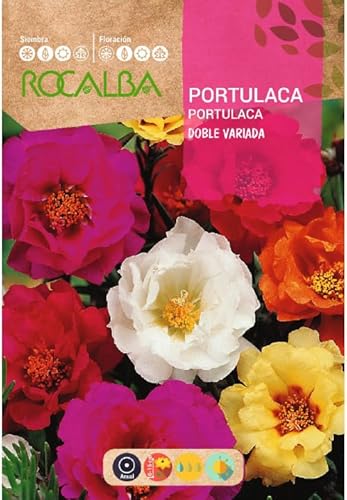 Sementes de Plantas Ornamentais PORTULACA Double Variety (1 g) ROCALBA - Sementes - sementes, plantas ornamentais, portulaca, double variety, 1 g