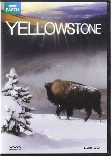 Blu-Ray Yellowstone Série Complète (Edição em Espanhol) DVDSTORESPAIN - Dvds e vídeos - blu-ray, série completa, espanhol