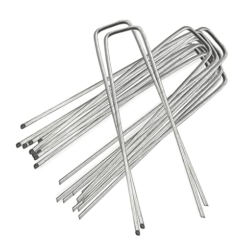 Conjunto de 10 Estacas ANSIO para Jardim (Plástico - 6 polegadas) ANSIO - Flores artificiais - plástico, preto, 6 polegadas, 10 estacas