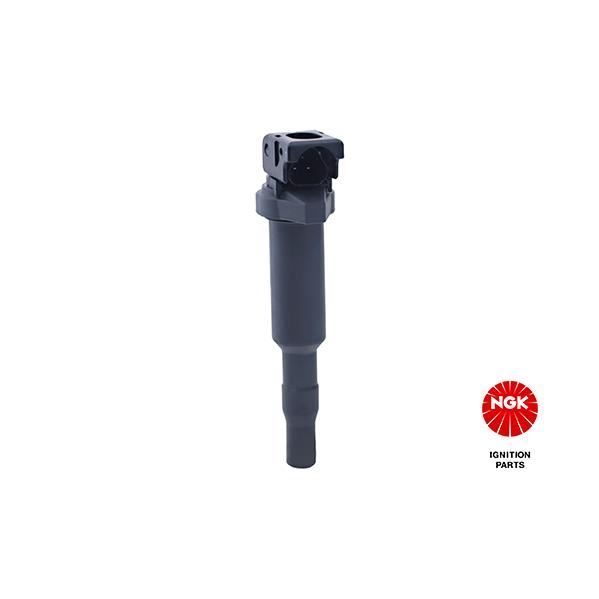 Cabo de Energia NGK 48216 | Preto (Electricidade e Domótica) NGK - Peças do motor do veículo automóvel - preto, 1,5 m, 12 a, 12 v