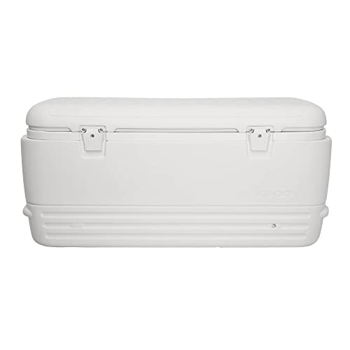 Caixa de Conservação IGLUO Glacière Quick & Cool 120 IGLOO - Refrigeradores - 15 kg, 1,2 kg, 30ºC, vinil termorresistente