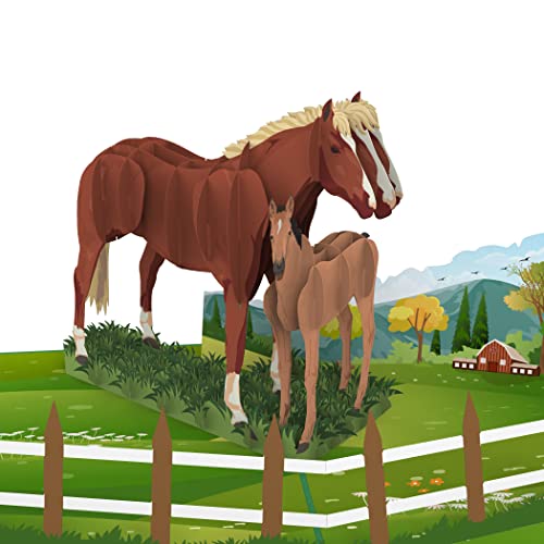 Brinquedo de Trabalhos Manuais MOKIO Pop-Up Card Horse (4 anos) MOKIO - Cartões de cumprimentos e de nota - trabalhos manuais, carta 3d, criativas, capacidades motoras