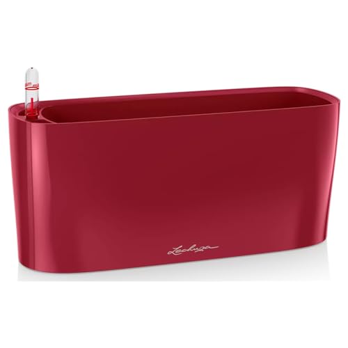 Recipiente para Leite LECHUZA Delta 10 Vermelho (1 L) geobra Brandstätter Stiftung & Co. KG - LECHUZA - Vasos e canteiros - leite, 1L, vermelho