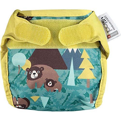 Close Pop-In Cotton Reusable Cloth Nappy Bear Close - Roupa interior - reutilizável, nappieria, bebé, ecológico
