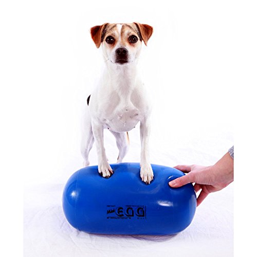 Bola de Musculação PEZZI (18cm - 2.5kg) Pezzi - Bolas de exercício - 18 cm, 2.5 kg