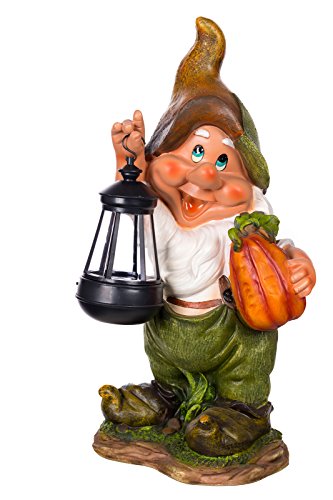 Figura de Brincar GOLIATH Gnome com Luz Solar (Idade Mínima: 3) Sarah B - Ornamentos de relva e esculturas de jardim - 38 cm, luz solar, poliresina, lavável