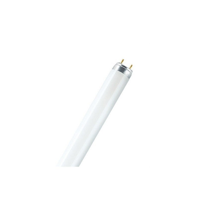 Lâmpada Fluorescente OSRAM L 18W/840 (NÃO ELEGIVEL) Osram - Lâmpadas - fluorescente, osram, 18W