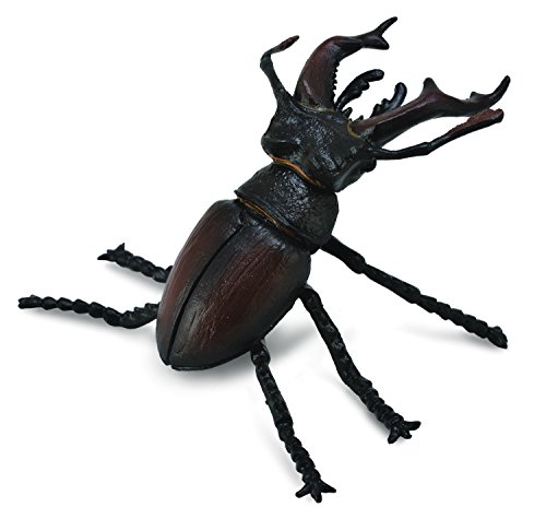 Figura de Ação COLLECTA Scarabé a Corno (Idade Mínima Recomendada: 3 anos) Collecta - Bonecos de ação e brinquedo - figura, ação, collecta, scarabé, 3 anos