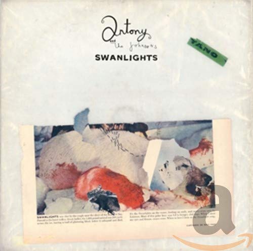 CD Antony & The Johnsons - Swanlights (1CD) ROUGH TRADE - Música e gravações de som - cd, antony & the johnsons, swanlights