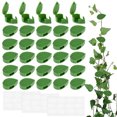 Clip de Fixação de Plantas LOBVABA 30 Peças LOBVABA - Gaiolas e suportes para plantas - fixação, plantas, 30 peças