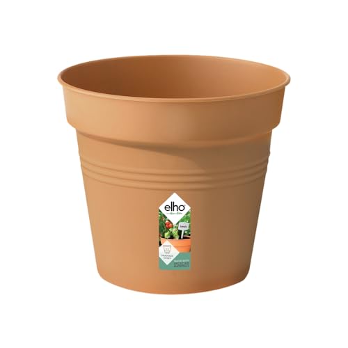 Vaso Elho Green Basics 17 cm | Vermelho (Jardinagem) Elho - Vasos e canteiros - 17 cm, vermelho, jardinagem
