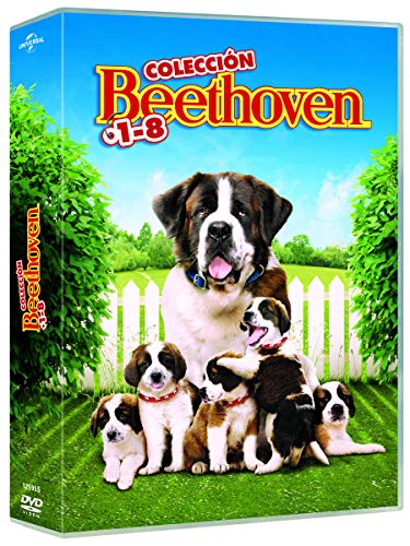 DVD Beethoven - Complete Symphonies (1-8) (Edição em Espanhol) Sony - Dvds e vídeos - coleção completa, 8 episodios, aventuras divertidas