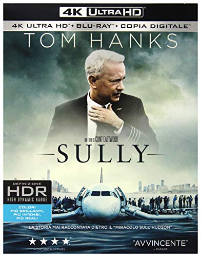 Blu-Ray Sully (Edição em Espanhol - Edição em Espanhol) WARNER BROS - Dvds e vídeos - blu-ray, edição em espanhol, sully, amizade, cão, treinador