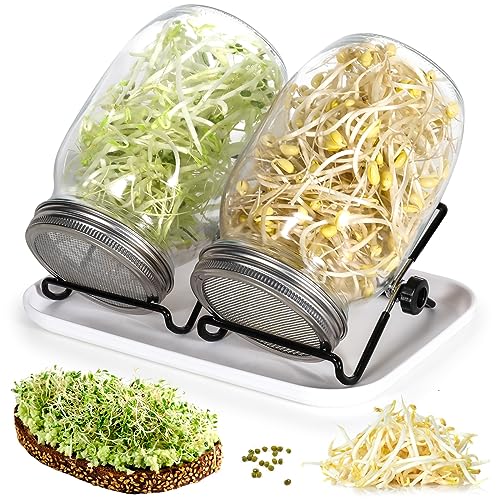 Kit de Germinação CINNANI (Recondicionado Como Novo) Cinnani - Recipientes de armazenamento de alimentos - kit, germinação, cinnani, recondicionado