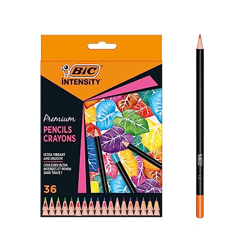 Lápis de Cor BIC Intensity Premium (Multicor) INT - Lápis - multicor, traço suave, resistente à borracha, 12 lápis