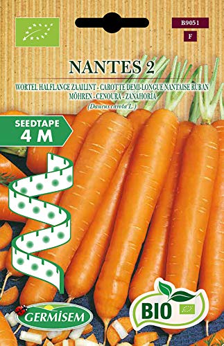Semente de Legumes VEGETALES Cenoura Nantes Fita 4 M GERMISEM - Sementes - cenoura, nantes, fita 4m