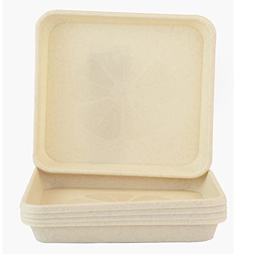 Prato para Plantas HOMEMANIA Quadrado (Bege - 24 x 24 cm) Rekpol - Pratos e bandejas para vasos de jardim - 24 x 24 cm, resistente, multiusos, plástico
