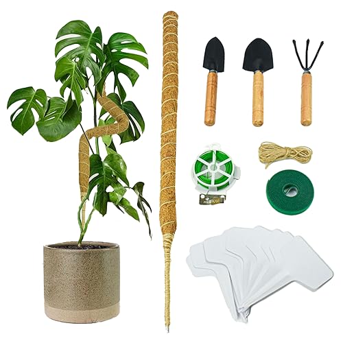 Suporte para Plantas Trepadeiras KIKUO 2 Peças kikuo - Gaiolas e suportes para plantas - suporte, plantas, trepadeiras, kiku, 2 peças